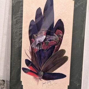 Hummingbird Feather Art Print